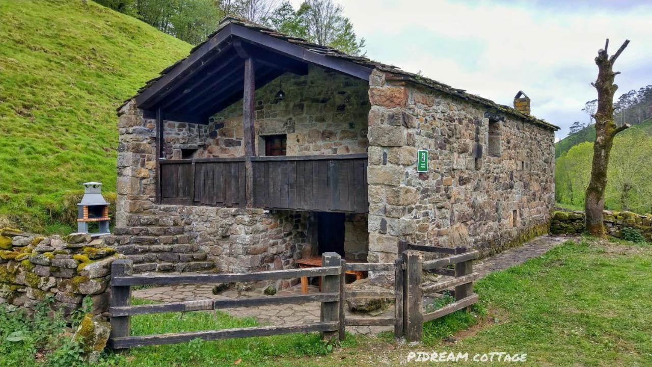 Pidream Cottage . Cabanas De Pisuena Selaya Eksteriør billede