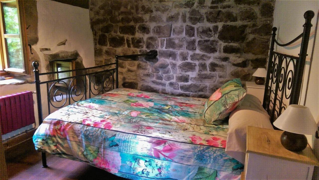 Pidream Cottage . Cabanas De Pisuena Selaya Eksteriør billede